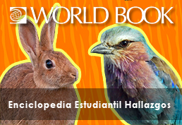 World Book - Spanish - Enciclopedia Estudiantil Hallazgos